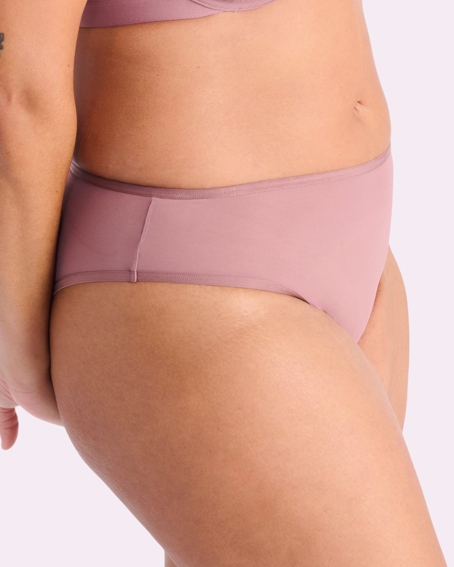 Silky Mesh High Rise Cheeky | Silky Mesh (Premium Plum)