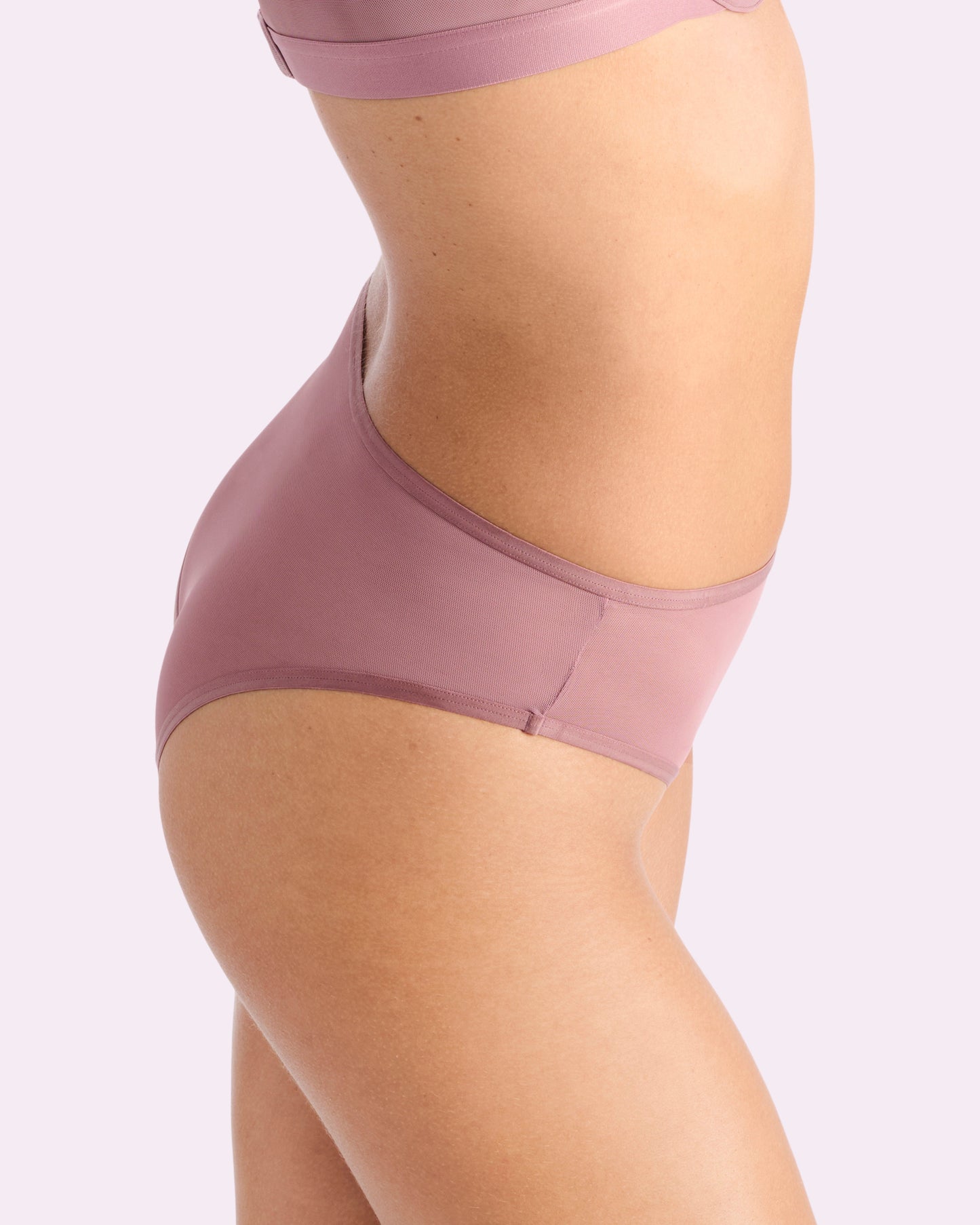 Silky Mesh High Rise Cheeky | Silky Mesh (Premium Plum)