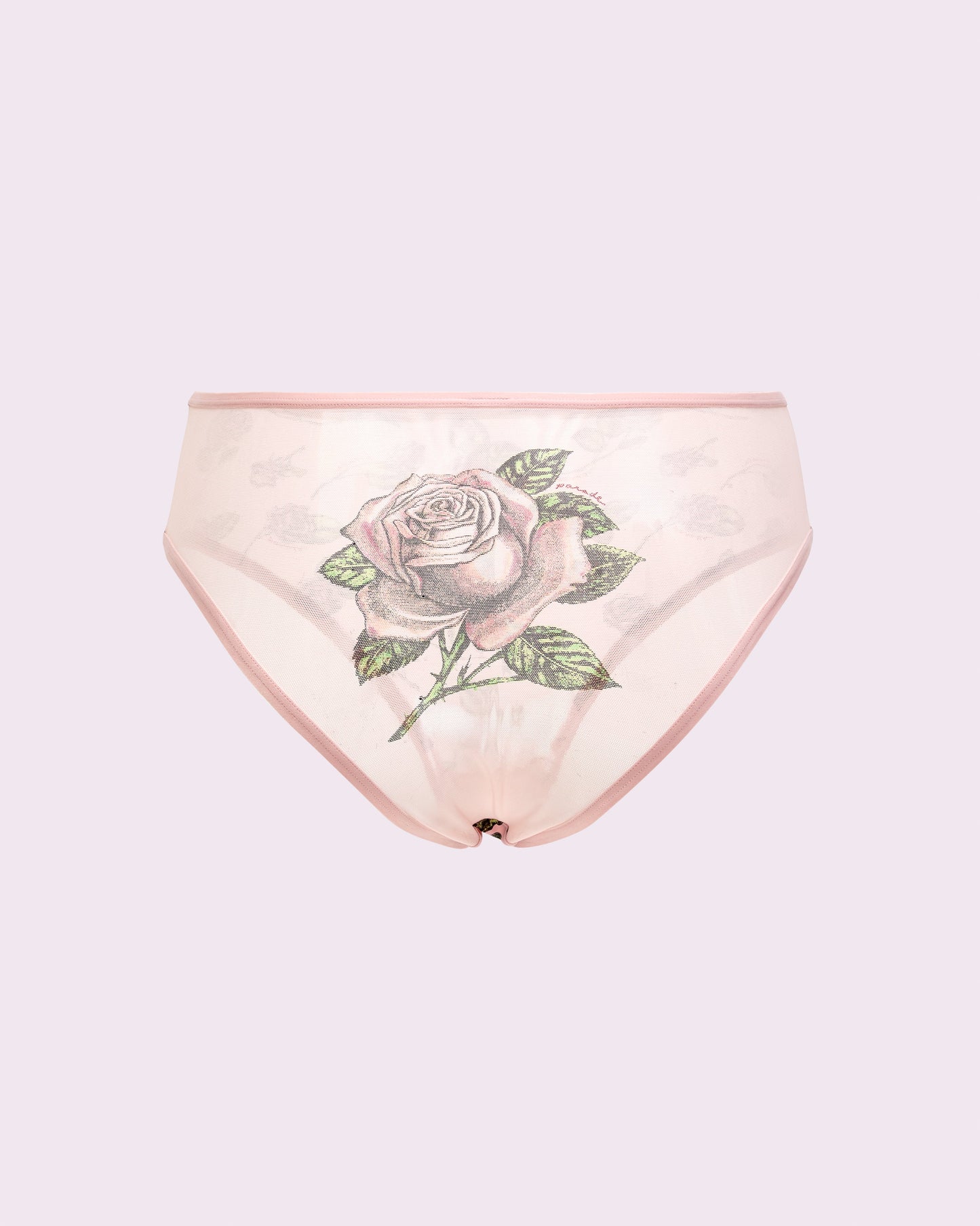 Silky Mesh High Rise Cheeky | Silky Mesh (Parade Rose)