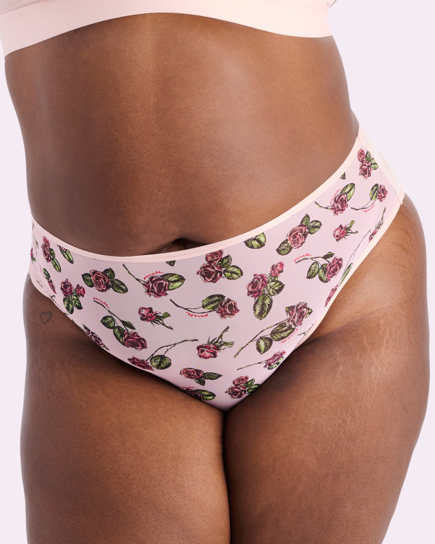 Silky Mesh High Rise Cheeky | Silky Mesh (Parade Rose)