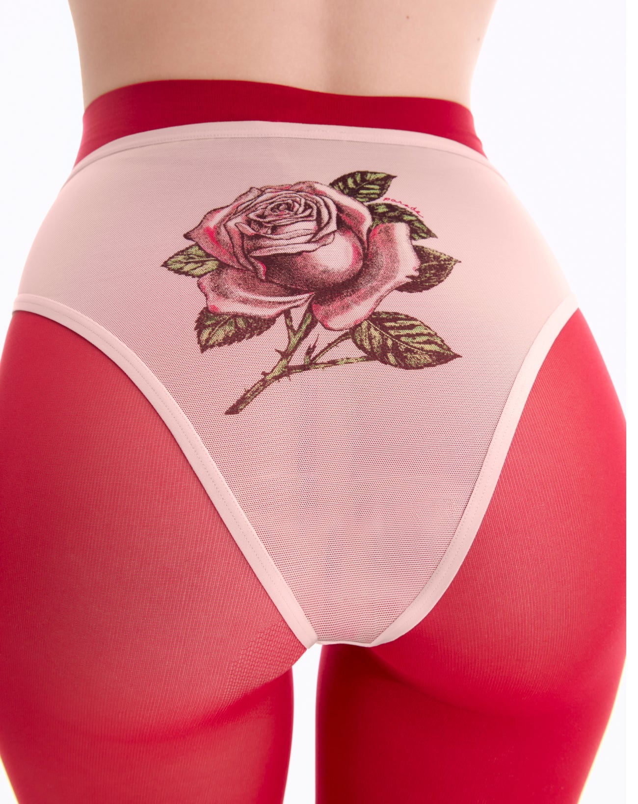 Silky Mesh High Rise Cheeky | Silky Mesh (Parade Rose)