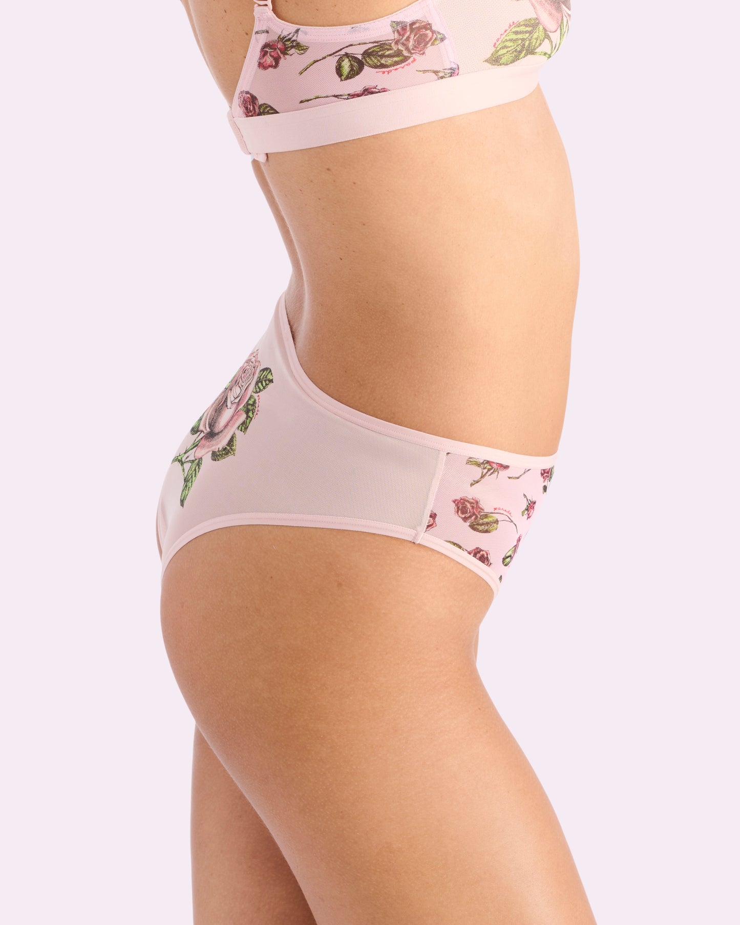 Silky Mesh High Rise Cheeky | Silky Mesh (Parade Rose)