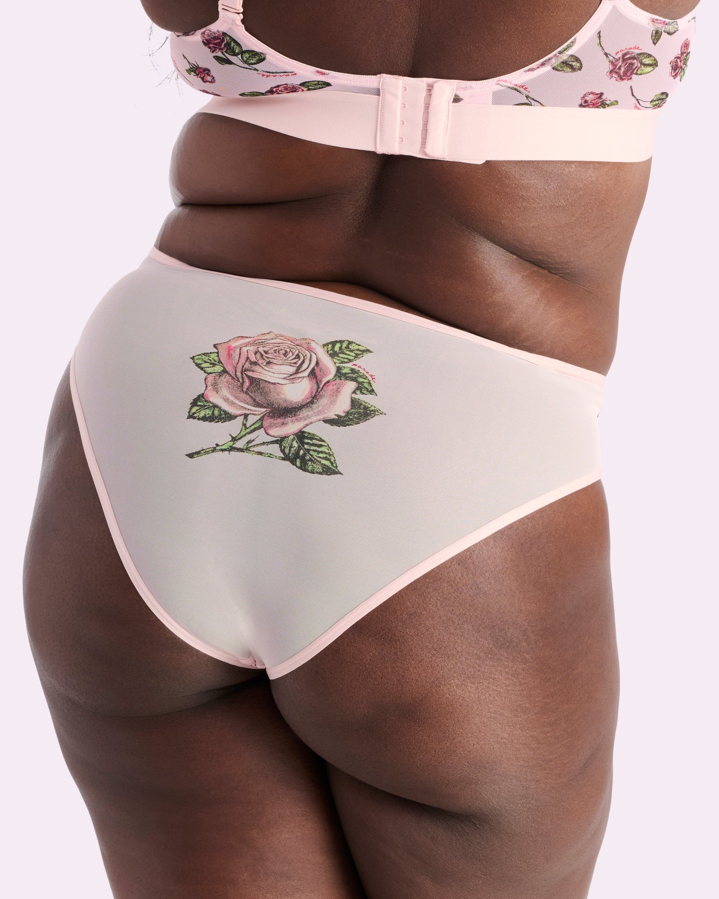 Silky Mesh High Rise Cheeky | Silky Mesh (Parade Rose)
