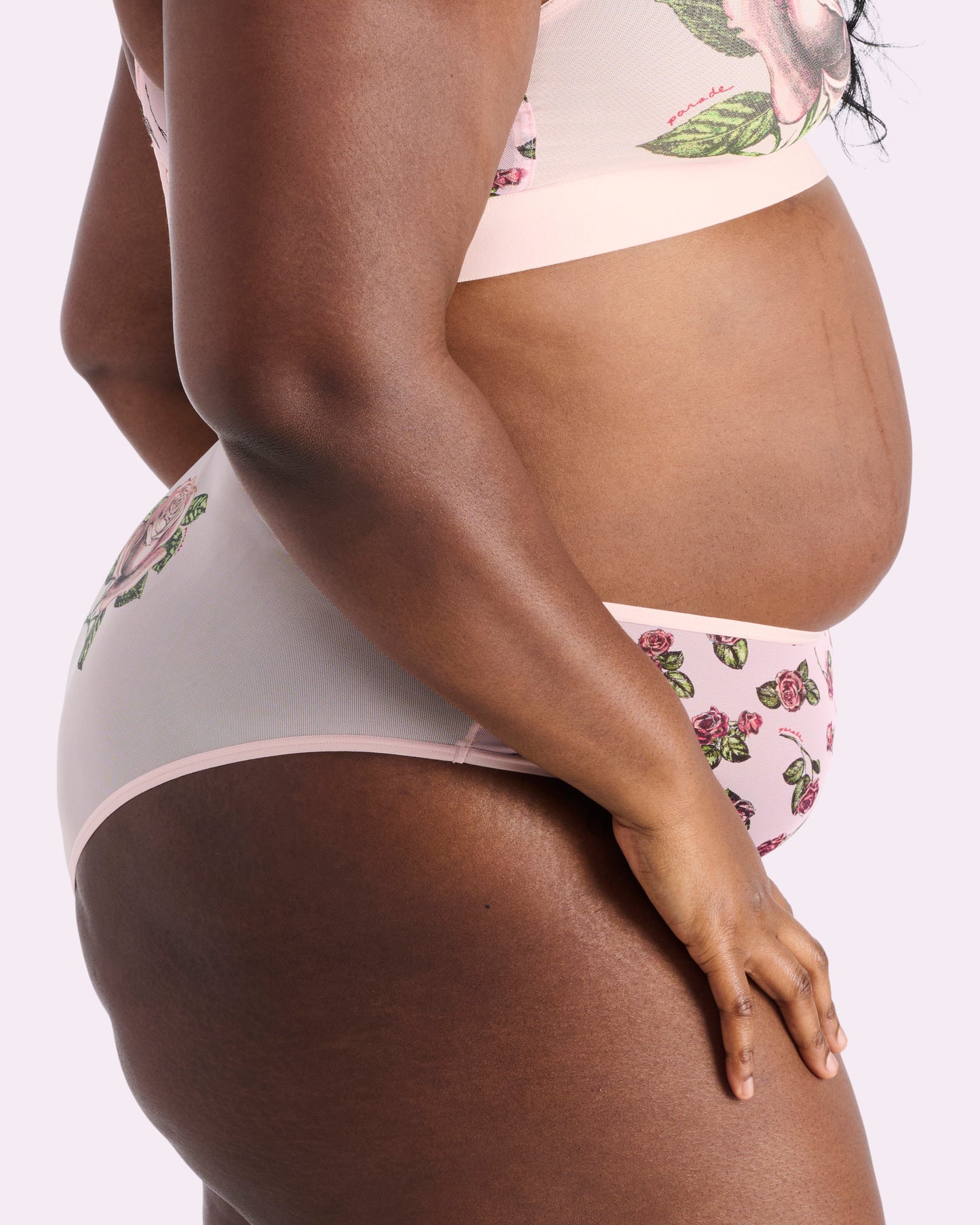 Silky Mesh High Rise Cheeky | Silky Mesh (Parade Rose)